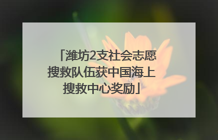 潍坊2支社会志愿搜救队伍获中国海上搜救中心奖励