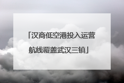 汉商低空港投入运营 航线覆盖武汉三镇