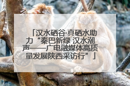 汉水硒谷·真硒水助力“秦巴新绿 汉水潮声——广电融媒体高质量发展陕西采访行”