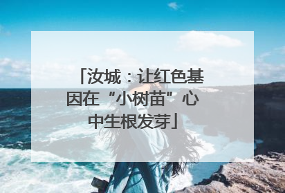 汝城：让红色基因在“小树苗”心中生根发芽