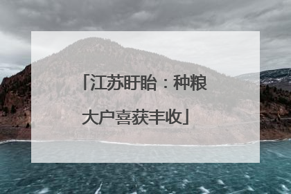 江苏盱眙：种粮大户喜获丰收