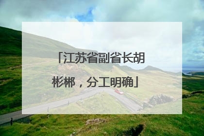 江苏省副省长胡彬郴，分工明确