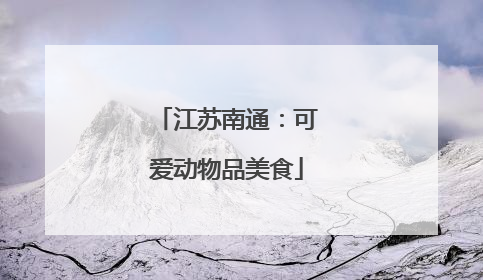 江苏南通：可爱动物品美食