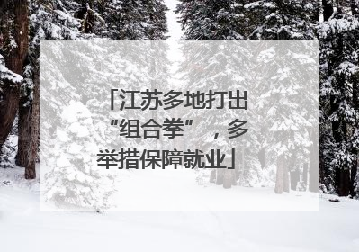 江苏多地打出“组合拳”，多举措保障就业