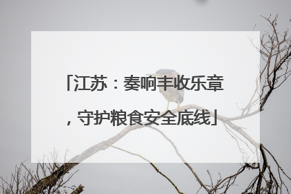 江苏：奏响丰收乐章，守护粮食安全底线