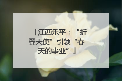 江西乐平：“折翼天使”引领“春天的事业”