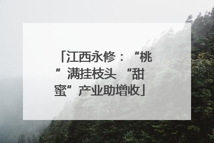 江西永修：“桃”满挂枝头 “甜蜜”产业助增收