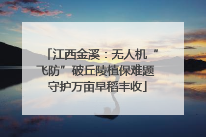 江西金溪：无人机“飞防”破丘陵植保难题 守护万亩早稻丰收