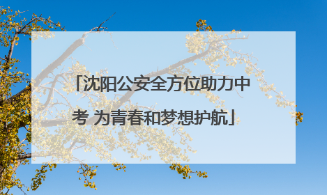 沈阳公安全方位助力中考 为青春和梦想护航