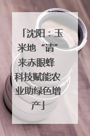 沈阳：玉米地“请”来赤眼蜂 科技赋能农业助绿色增产