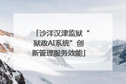 沙洋汉津监狱“狱政AI系统”创新管理服务效能
