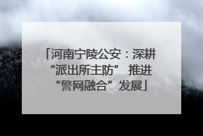 河南宁陵公安：深耕“派出所主防” 推进“警网融合”发展