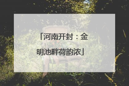 河南开封：金明池畔荷韵浓