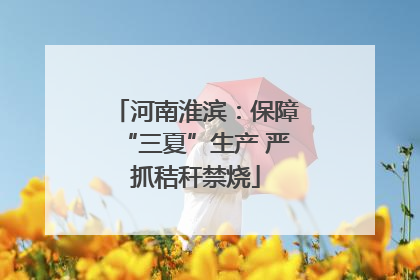 河南淮滨：保障“三夏”生产 严抓秸秆禁烧