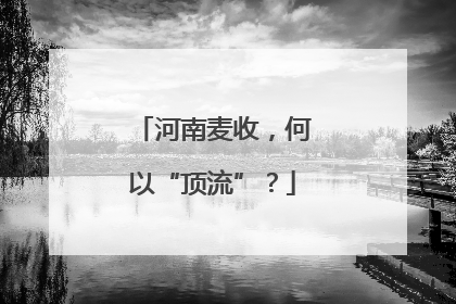 河南麦收，何以“顶流”？