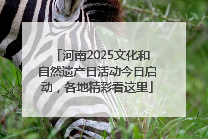 河南2025文化和自然遗产日活动今日启动，各地精彩看这里