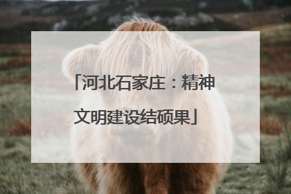 河北石家庄：精神文明建设结硕果