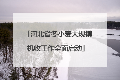 河北省冬小麦大规模机收工作全面启动