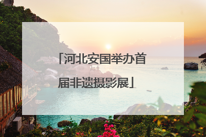 河北安国举办首届非遗摄影展