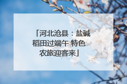 河北沧县：盐碱稻田过端午 特色农旅迎客来