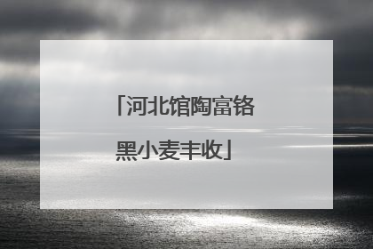 河北馆陶富铬黑小麦丰收