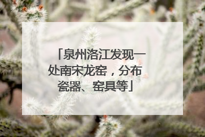 泉州洛江发现一处南宋龙窑，分布瓷器、窑具等