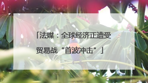 法媒：全球经济正遭受贸易战“首波冲击”