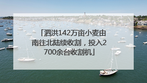泗洪142万亩小麦由南往北陆续收割，投入2700余台收割机
