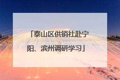 泰山区供销社赴宁阳、滨州调研学习