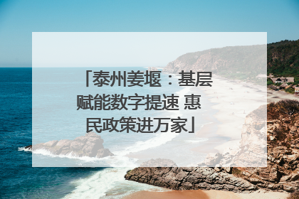 泰州姜堰：基层赋能数字提速 惠民政策进万家