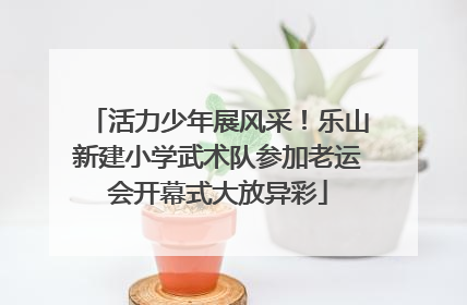 活力少年展风采！乐山新建小学武术队参加老运会开幕式大放异彩