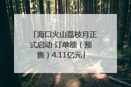 海口火山荔枝月正式启动 订单额（预售）4.11亿元
