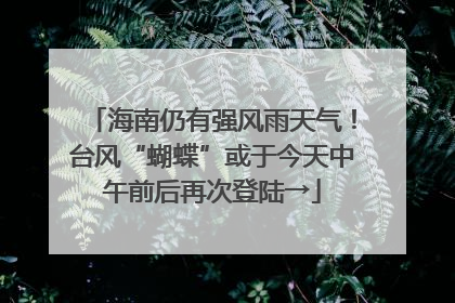 海南仍有强风雨天气！台风“蝴蝶”或于今天中午前后再次登陆→