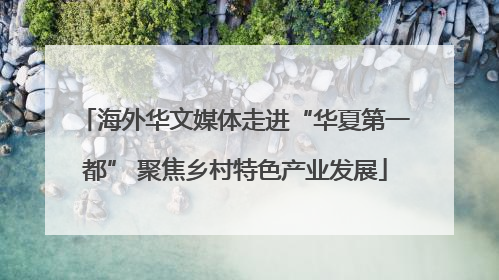 海外华文媒体走进“华夏第一都” 聚焦乡村特色产业发展