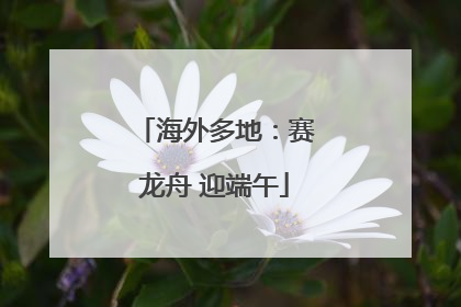 海外多地：赛龙舟 迎端午