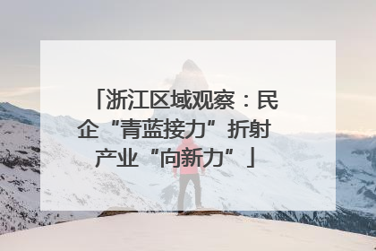 浙江区域观察：民企“青蓝接力”折射产业“向新力”