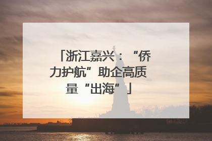 浙江嘉兴：“侨力护航”助企高质量“出海”