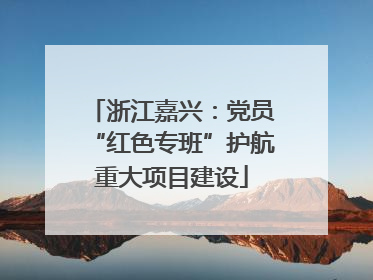 浙江嘉兴：党员“红色专班”护航重大项目建设