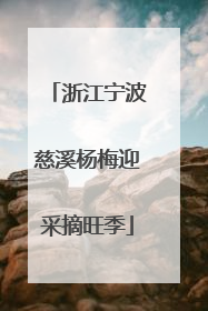 浙江宁波慈溪杨梅迎采摘旺季