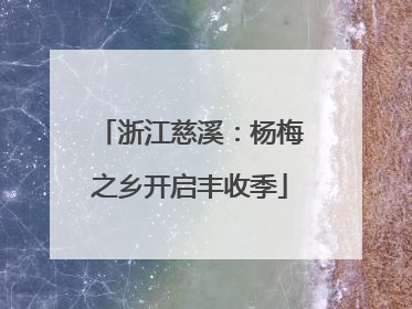 浙江慈溪：杨梅之乡开启丰收季