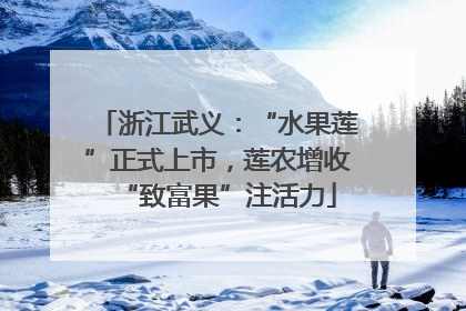 浙江武义：“水果莲”正式上市，莲农增收“致富果”注活力