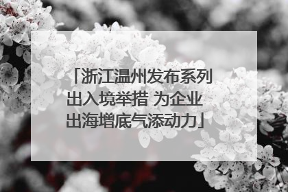 浙江温州发布系列出入境举措 为企业出海增底气添动力