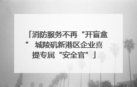 消防服务不再“开盲盒” 城陵矶新港区企业喜提专属“安全官”