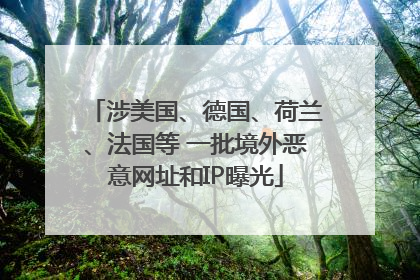 涉美国、德国、荷兰、法国等 一批境外恶意网址和IP曝光