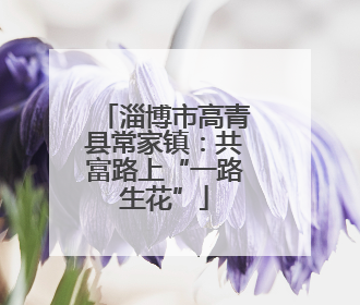 淄博市高青县常家镇：共富路上“一路生花”