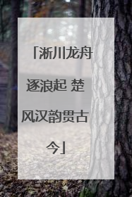 淅川龙舟逐浪起 楚风汉韵贯古今