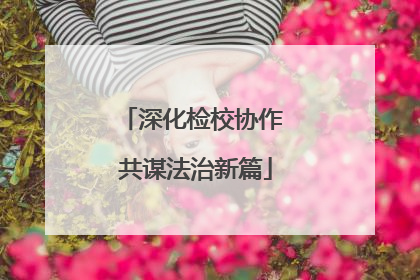 深化检校协作 共谋法治新篇