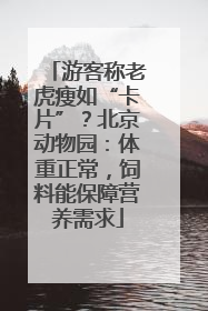 游客称老虎瘦如“卡片”？北京动物园：体重正常，饲料能保障营养需求