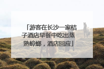 游客在长沙一家桔子酒店早餐中吃出蒸熟蟑螂，酒店回应