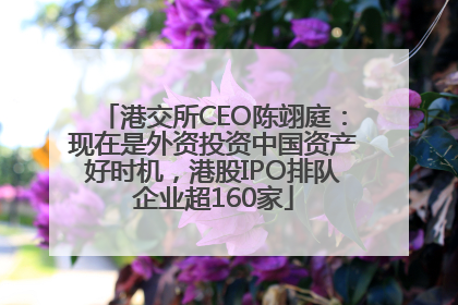 港交所CEO陈翊庭：现在是外资投资中国资产好时机，港股IPO排队企业超160家